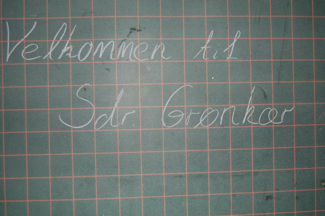 Sdr Gronkaer Feriehus - Holiday House Bækmarksbro Kültér fotó